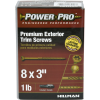 Hillman Power Pro Premium Exterior Trim Screws no 8 x 3" 1 lb